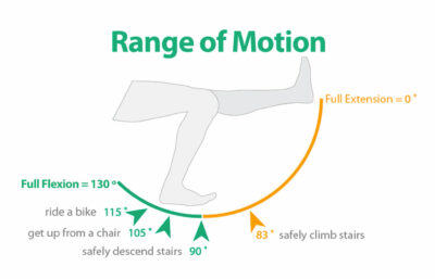 Patient Information – Knee – Signature Orthopaedics